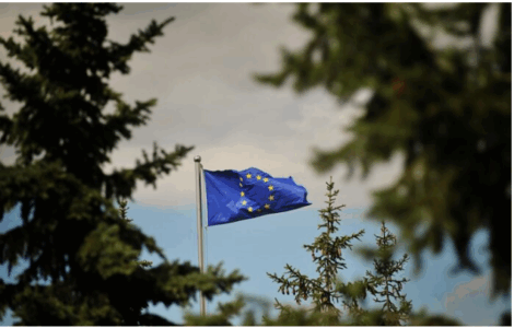 Plagosja e zyrtarit evropian, reagojnë nga Zyra e BE`së në Kosovë