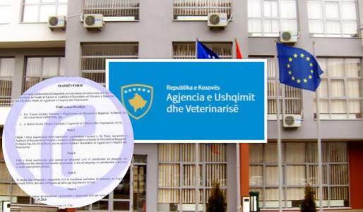 Ministri Peci shkel ligjin, i hakmerret auditores që zbuloi “ilaçin e morrave”