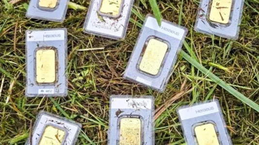 Gjermani me fat, gjen shufra ari me vlerë 30 mijë euro ndërsa ishte duke prerë barin