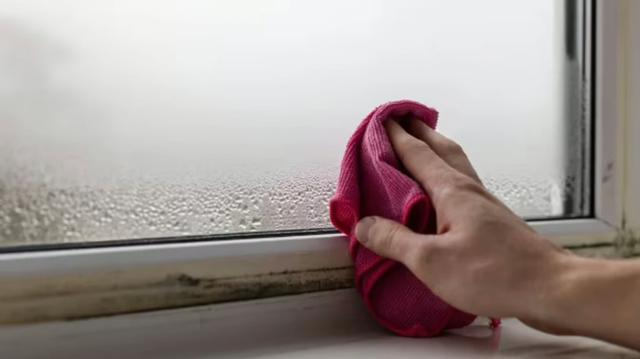 Zgjidhje me dy përbërës që do të largojë mykun dhe kondensimin nga dritaret