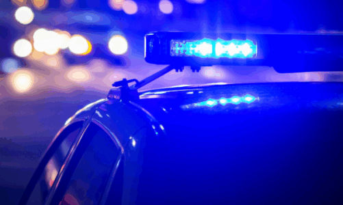 Arrestohet një person në Shtime, konfiskohen armë e karikator