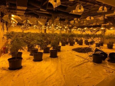 Policia zbulon një “shtëpi bari”: Djali në pranga, procedohet nëna dhe shpallet në kërkim babai