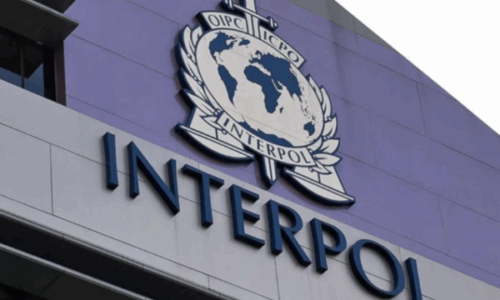 Vjedhja me dhunë në Tropojë, arrestohet në Serbi 23-vjeçarja shqiptare