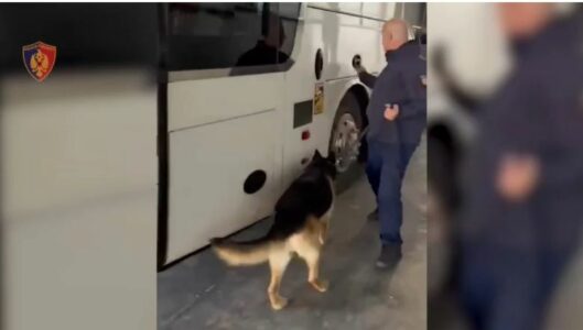 Kapen drogë, armë, bizhuteri dhe 29 mijë euro në Portin e Durrësit