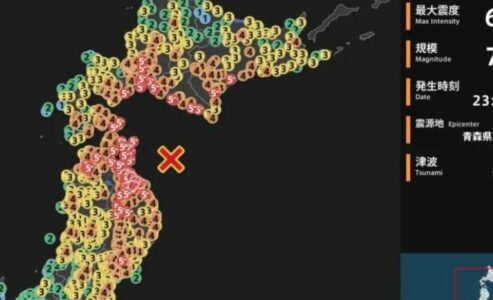 Pamje të tërmetit në Japoni, lëkundje të forta për rreth 30 sekonda