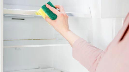 Frigoriferi do të jetë i pastër dhe pa erë të pakëndshme nëse spërkatni një përbërës nga kuzhina