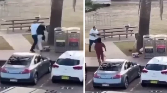 Australi, qytetari i hip sulmuesit mbi shpinë dhe ia merr pushkën