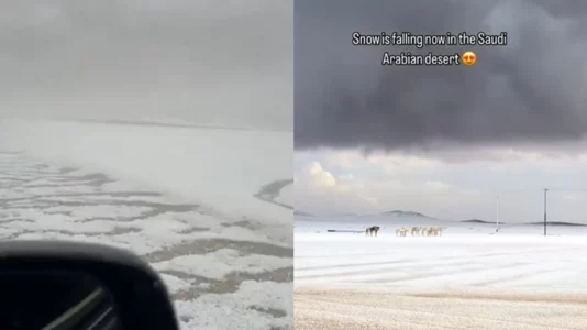 E rrallë: Shkretëtira e Arabisë Saudite zbardhet nga bora