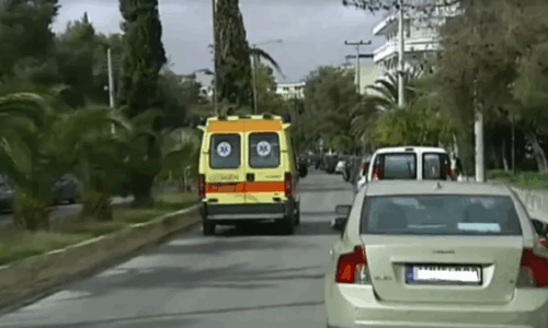 Po luante në oborrin e shtëpisë, qeni sulmon për vdekje 2-vjeçarin shqiptar