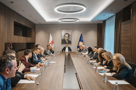 Nis mbledhja e Këshillit të Përgjithshëm të LDK-së