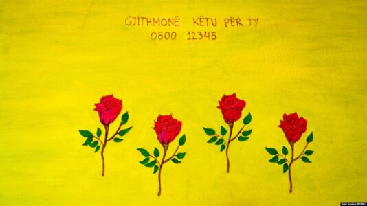 Në mungesë të fondeve, Kosova rrezikon shërbimin për parandalim të vetëvrasjeve