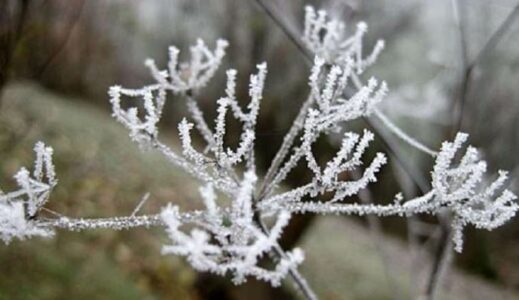 Parashikimi i motit për sot