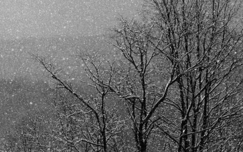 Borë e shi – Parashikimi i motit për sot