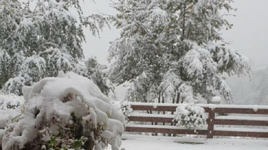 Temperaturat -20 për fundvit, reagon Instituti: Parashikimi i besueshem i motit është i kufizuar në 7-10 ditë