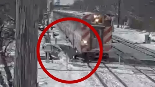 Momenti kur treni i udhëtarëve përplaset me një automjet në Hinsdale, Illinois