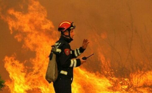 Raporti i zjarreve në Evropë për 2024: Shqipëria pësoi humbjet më të rënda