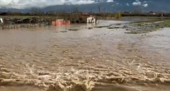 Situatë e rënduar në Pogradec, dy lumenjtë dalin nga shtrati