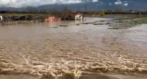 Situatë e rënduar në Pogradec  dy lumenjtë dalin nga shtrati