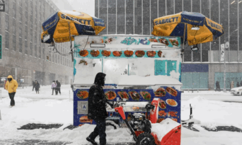 Mbi 11 mijë fluturime të anuluara në SHBA si pasojë e stuhisë dimërore