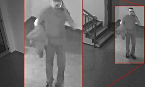 Policia kërkon ndihmë për identifikimin e një të dyshuari për vjedhje, ia publikon foton