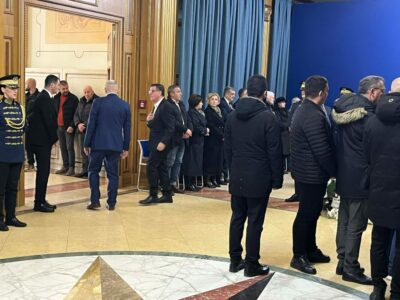 LDK-ja me homazhe për Nexhat Dacin