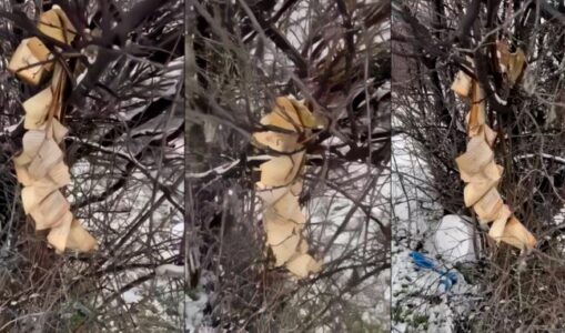 Digjet Kurani në Gjakovë (VIDEO)