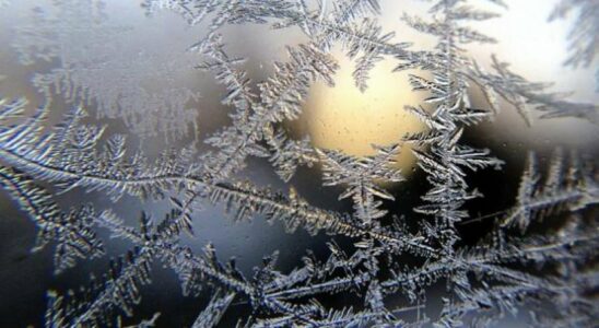 Parashikimi i motit për të premten