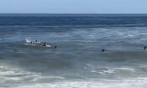 Ish-ylli i Premierligës dhe fëmijët e tij shpëtohen mrekullisht nga valët e rrezikshme në det