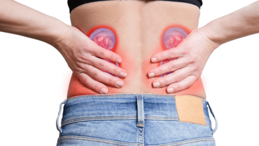 Gurët në veshka: Simptomat, trajtimi dhe mënyrat e parandalimit