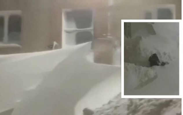 Rusia thyen rekordin  borë deri në katin e dytë të banesave  VIDEO 