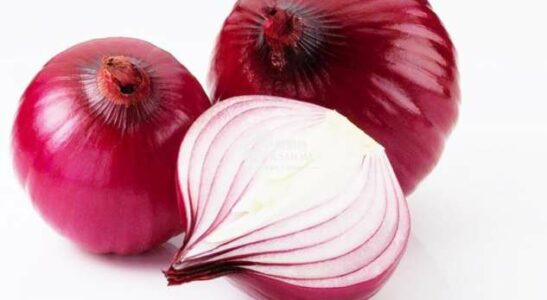 Qepa, ilaçi që shëron të gjitha këto sëmundje