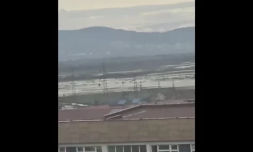 Pas reshjeve të shiut, Sitnica del nga shtrati