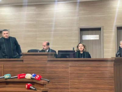 Nëna e binjakëve që iu vranë gjatë luftës kërkon dënim të përjetshëm për Millosh Pleskoviqin