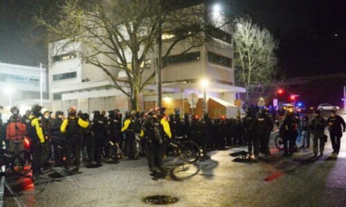 Protestat pas vrasjes së gruas 37-vjeçare, Departamenti i Sigurisë Kombëtare në SHBA dërgon qindra oficerë policie shtesë në Minesota