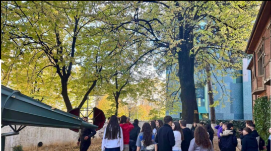 Turizmi në 2025, na mban Kosova, “mërziten” italianët, vijnë gjermanët dhe francezët