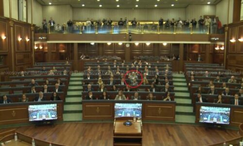 Ky është deputetini Vetëvendosjes që votoi kundër Rezolutës për Hagën