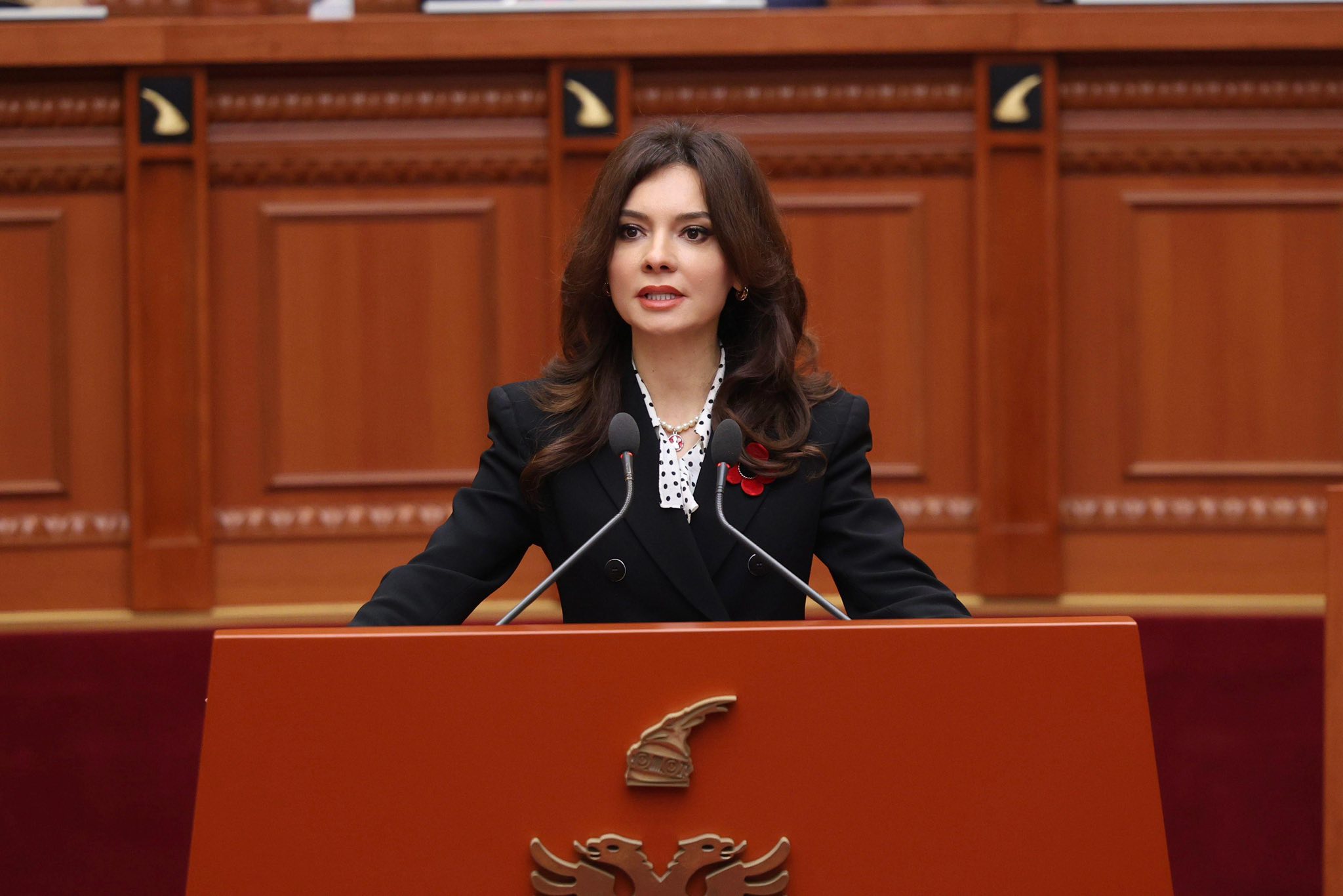 Kryediplomatja shqiptare Shqipëria angazhohet diplomatikisht për mbrojtjen e luftës së UÇK së