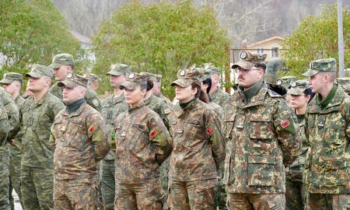 Komanda Amerikane për Evropë i trajnon ushtarët e Shqipërisë dhe Kosovës për hetimin e incidenteve me municione