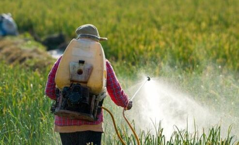 Inspektim i gjerë i institucioneve: Mbi 100 lëndë nën auditim për shkelje në regjistrimin e pesticideve