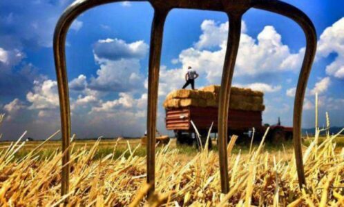 Ministria e Bujqësisë me njoftim të rëndësishëm për fermerët