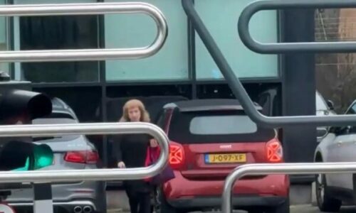 Trendafillova arrin në gjykatë