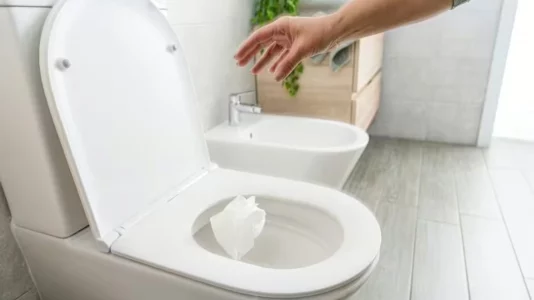 Kjo pajisje e përditshme ka më shumë baktere se ulësja e tualetit tuaj