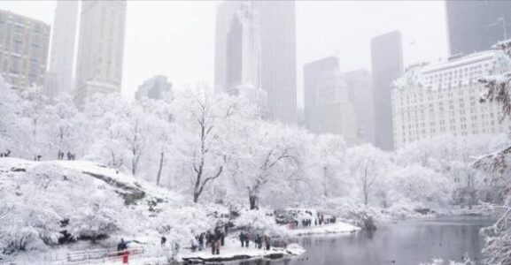 I ftohti ekstrem në Nju-Jork lë 18 viktima
