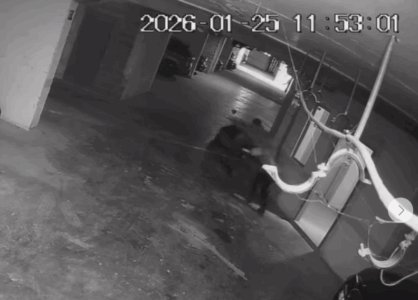 Disa të mitur vjedhin motorin në një objekt banimi (VIDEO)