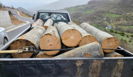 Kapet transportuesi ilegal i drunjve në Lupç të Podujevës