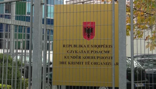 Kultivuan 10 mijë rrënjë kanabis, GJKKO dënon me 56 vite e 9 muaj burg 5 anëtarë të grupit kriminal