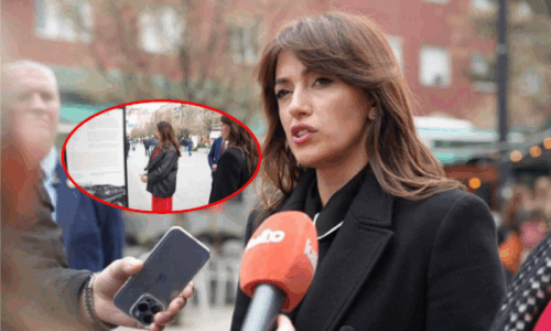 Kuvendi e konfirmon se e ka financuar ekspozitën në shesh për masakrat, por gishtin e drejton te organizatorët