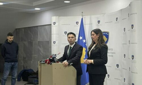 Nagavci: Nuk ka asnjë arsye për të marrë pjesë në takimin konsultativ të Presidentes