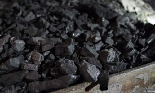 Gjashtë të arrestuar për nxjerrje ilegale të thëngjillit në Vushtrri