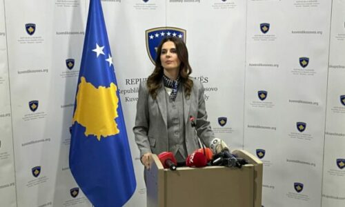 Ekspozita për masakrat, Çitaku kërkon hetim të veçantë për mënyrën si është proceduar kërkesa